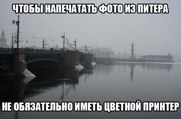 Мозгокекс в текстах