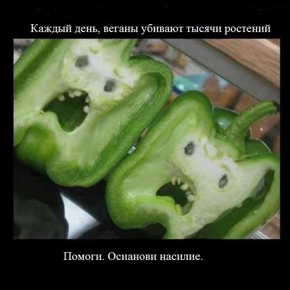 Аморалка Лайт