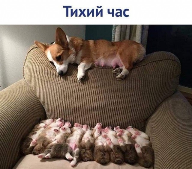 Так себе картинки 19.05.22