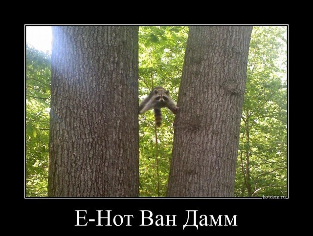 Картинки с надписями 04.09.22