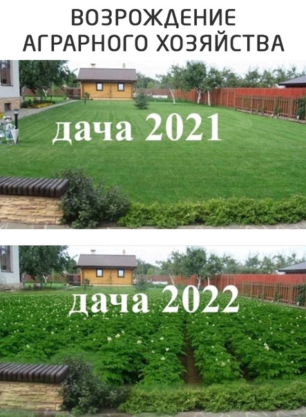 Картинки и мемы, всем хороших выходных
