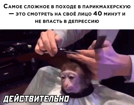 Картинки и мемы. Выходные близко...