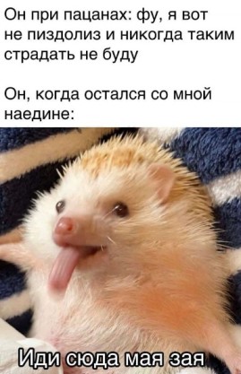 "Таблица оценки мужей" - да кто такой этот чертов Жоффрей?!