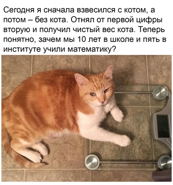 Немного картинок для настроения - 112