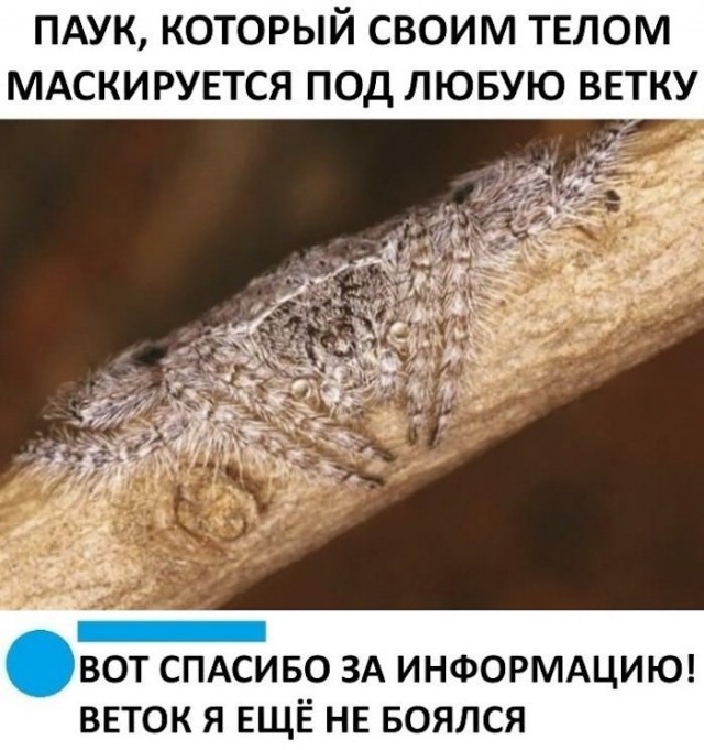 Народная меДИЧина 4010
