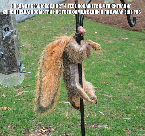 Нуштош 03.03.23