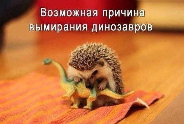 Всего понемногу. Выпуск от 13.03.