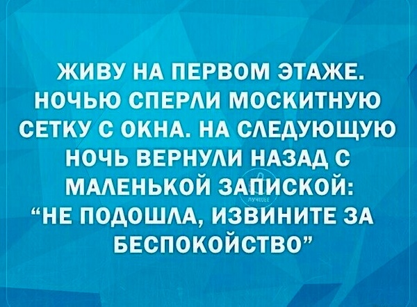 Забавные комментарии из социальных сетей (29.05.23)