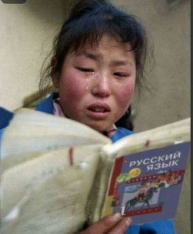 Кошка против ёлки