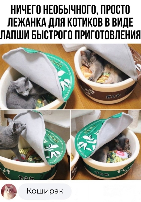 Тлидцать тли от 29 февлаля