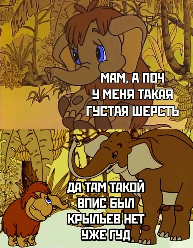 Весёлый полтишок 04.10.2024