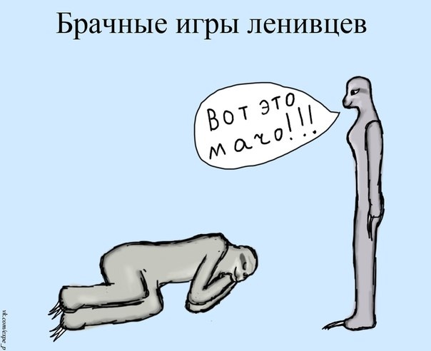 Прикольные и просто красивые картинки 01.11.2024
