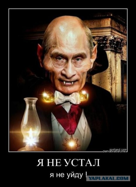 Фотографии путина для сайта знакомств