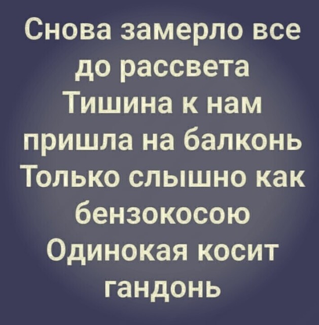 Правда о работе дворника на придомовой территории