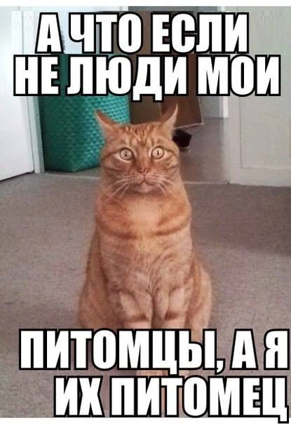 Весёлые картинки 2