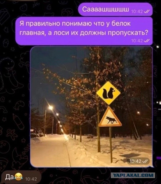 Так себе картинки 20.01.25