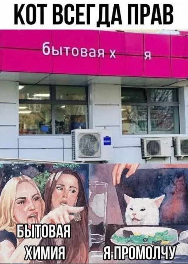 К котовторнику: подборка картинок-баянов с котиками и про котиков. Выпуск 4