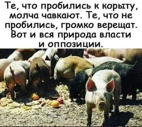 Великолепная программа, надежная как швейцарские часы!
