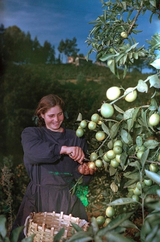 Фотографии из прошлого нашей страны – 113