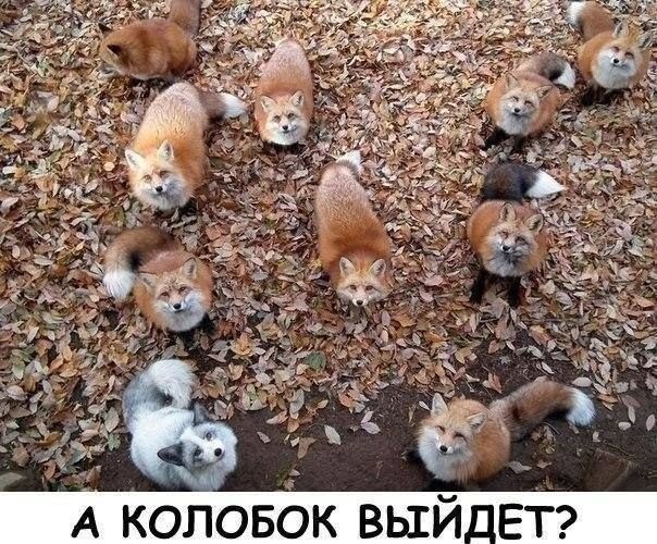Пятницы картинки