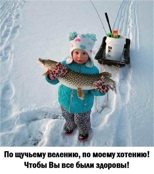Воскресные картинки