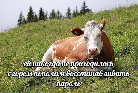 Жизнь на острове