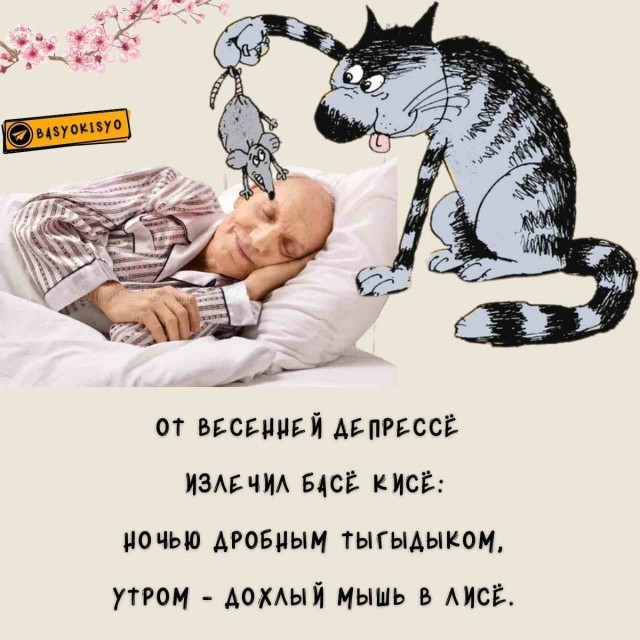 Куча мала 15, последняя