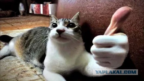ЦРУ применило секретное устройство «Призрачный шепот» в Иране