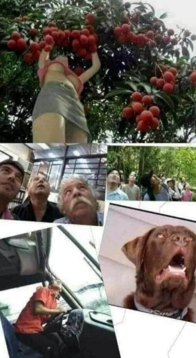 Турниквумен