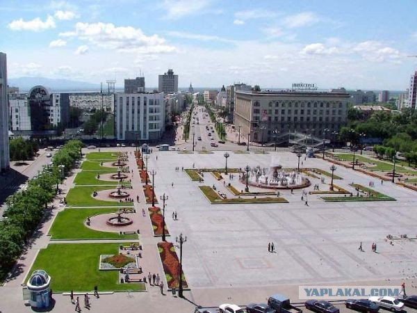 2 августа. Мытищи