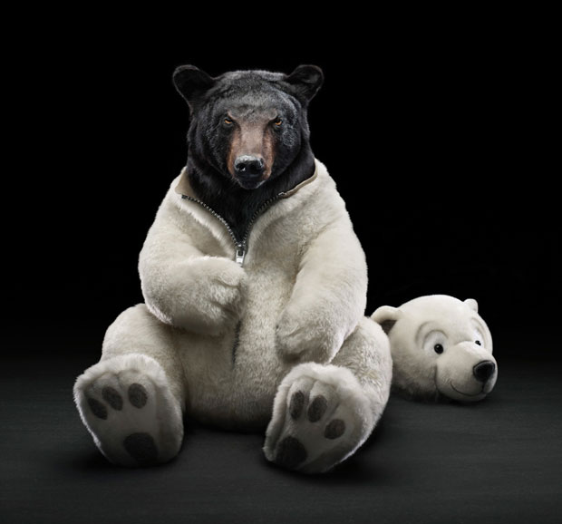 Подборка забавных и курьезных фотографий