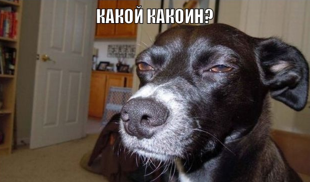 Легкой наркомании пост