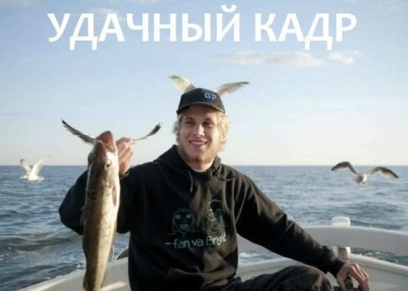 Смешные картинки