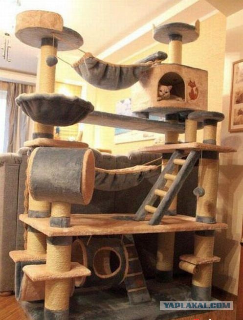 Как я строил кошкин дом