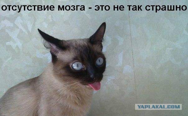 Гайка vs поезд