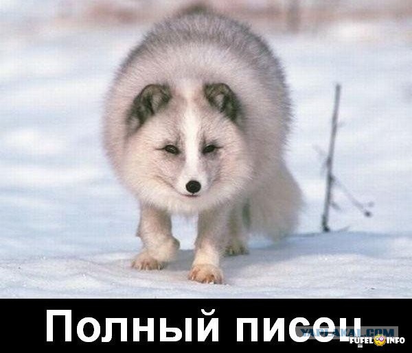 Беларусь закрыла рынок для украинских сладостей