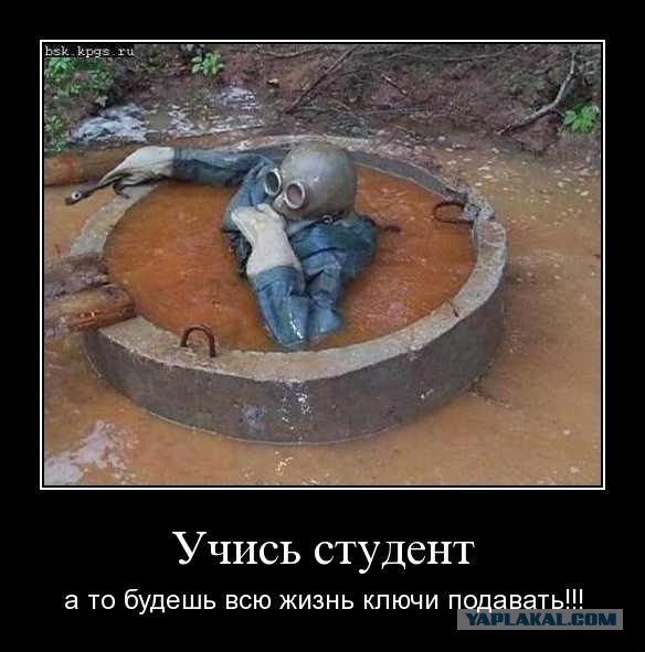 Замучили какашковоза