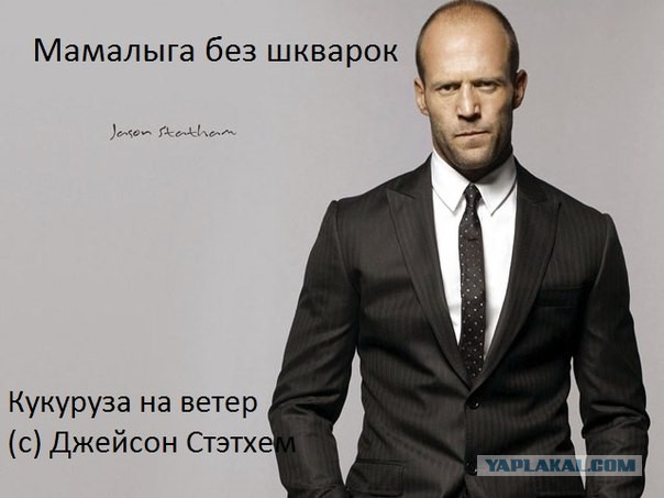 Чимпой чимпой, я не могу перестать это смотреть !