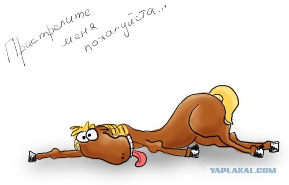 Прямая трансляция большой пресс-конференции Путина