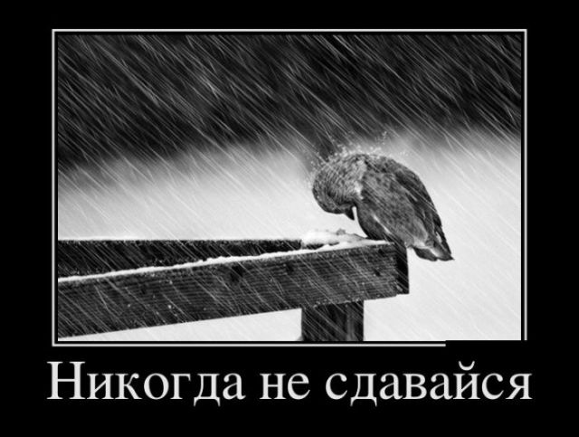Давно демотиваторов не было