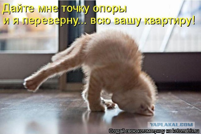 Смешные картинки