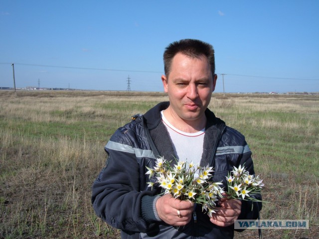 Мужская половина ЯПа