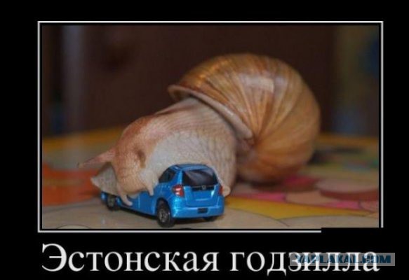 Демотиваторы вторника