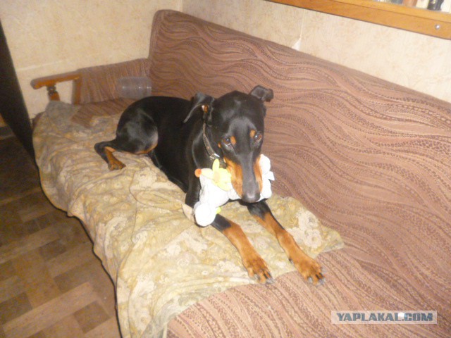 Зло за дверью