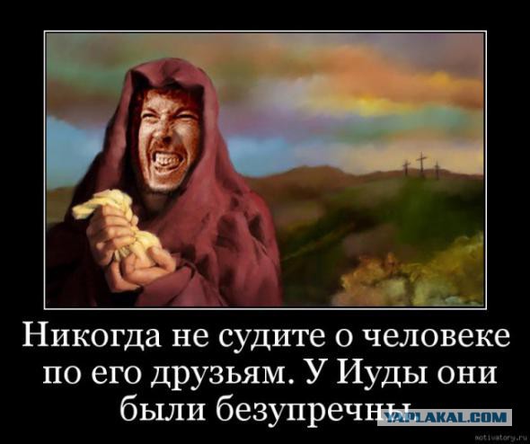 Солянка политическая #8