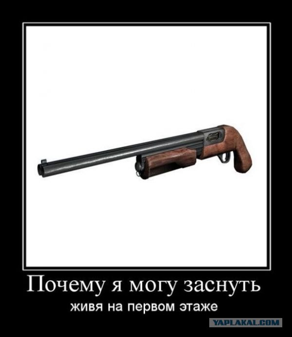 Лучший новогодний подарок для американца