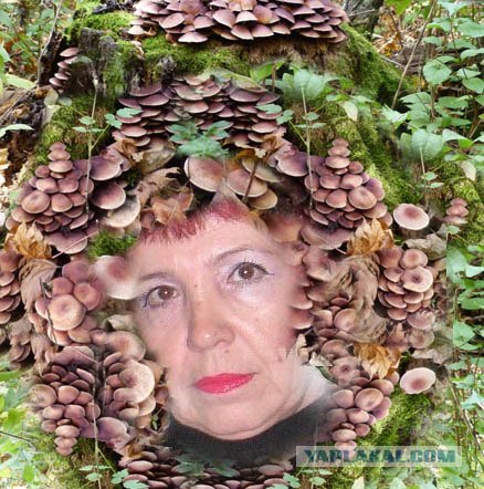 Вот тут мой мозг просто тупо умер.