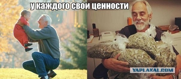 Черный юмор из социальных сетей