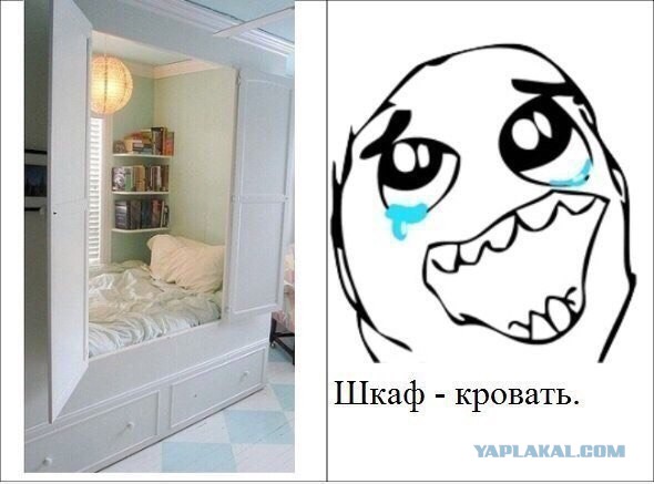 Немного картинок