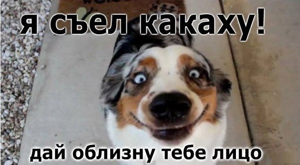 Картинки на субботу